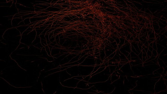 Blood veins inflating 3d rendering animation.