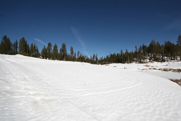 Fototapeta na wymiar Sierra Nevada Mountain Snow