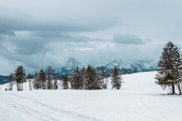 Fototapeta na wymiar snow-covered winter landscape in the Alps, Germany.