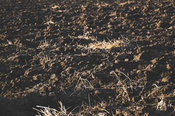 Barren field. Climate change environment drought.