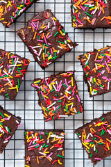 homemade chocolate frosted brownies with rainbow colored sprinkles on a white background