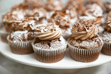 Muffins with chocolate on the white plate