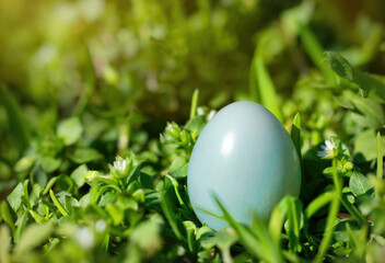 Spring Green Garden and Easter Eggs