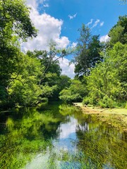 Ichetucknee Springs RIVER