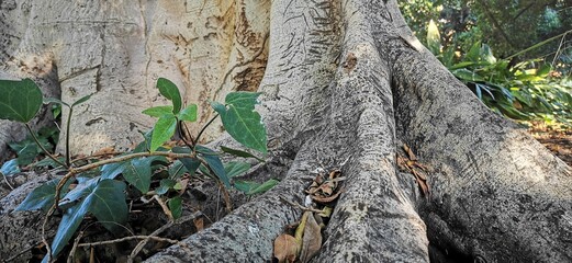 Parque Picasso, Málaga