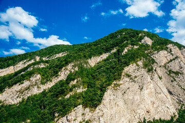 landscape with blue sky