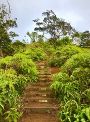 Fototapeta na wymiar stairs Oahu Hawaii lush Mountains and cliff landscape