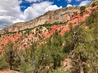 Utah Red Rocks Zion