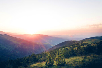 Beautiful sunrise on top of the mountain with fir trees. A new day begins. Sunbeams in the golden hour. Concept of nature, holidays, and healthy lifestyle. Landscape view with blank space for text.