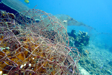 Naklejka na ściany i meble abgerissenes Fischernetz hängt im Korallenriff fest