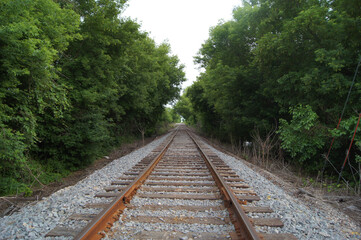 Obraz premium Foster Photo