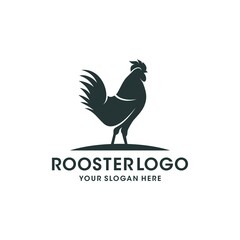 Fototapeta na wymiar Rooster logo design template. Vector Illustration 