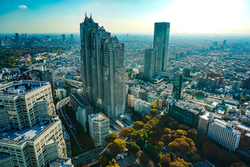 Fototapeta premium tokyo