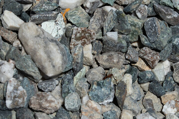 coloured stone floor background, texture
