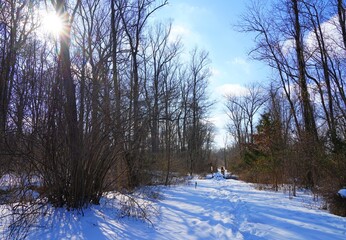 A walking path in the woods blanketed with snow after a winter storm in New Jersey