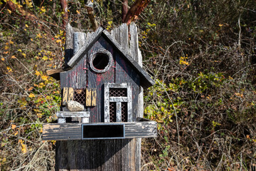 wooden bird house at Witty's Lagoon Regional Park, British Columbia