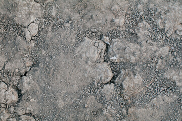 Detail of Dried cracked earth soil, crack earth, global warming ground texture background. Mosaic pattern of sunny dried earth soil