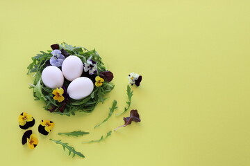 Easter eggs in a nest from arugula leaves and flowers. Pansies and arugula leaves isolated. On yellow background with space for text.