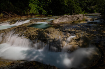 夏の水遊び