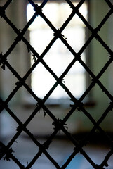 Diamond shaped isolation fence inside abandoned insane asylum