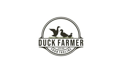 logo for duck farm with illustration of ducks looking healthy and growing well