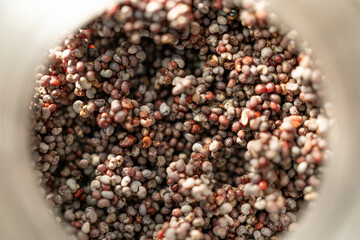 poppy seed