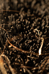 textura lineas y puntos