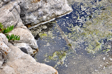 contaminated water