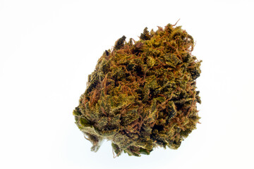 Marijuana flower bud, close up isolated on a white background. 
Mountain Girl cross, with plentiful orange hairs on this lightly frosted nug. 