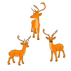 Vector illustration of deer cartoon on white background - 412755038