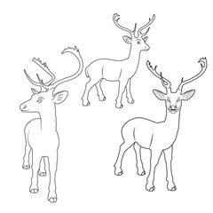 Vector illustration of deer cartoon on white background - 412755099