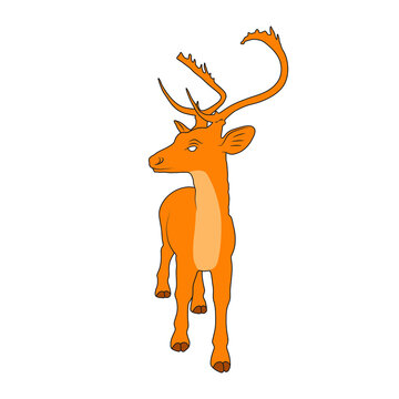 Vector illustration of deer cartoon on white background