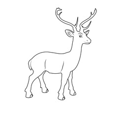 Vector illustration of deer cartoon on white background - 412755413