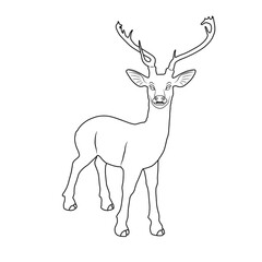 Vector illustration of deer cartoon on white background - 412755462