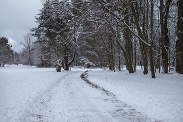 Alley in the park covered with snow.