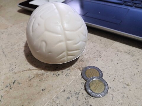 Cerebro
