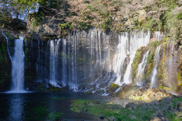 Fototapeta na wymiar 【山梨】白糸の滝（冬）