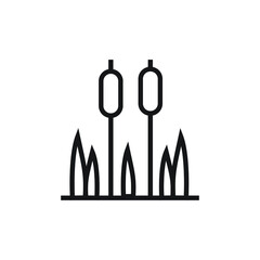 Reeds plant icon design. vector illustration