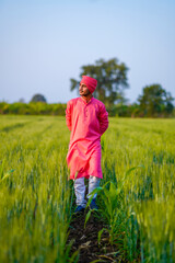 Young indian farmer walking at green wheat field