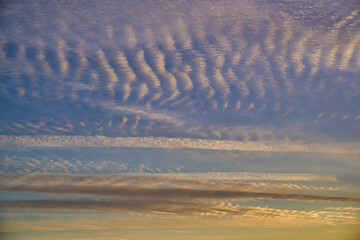 都会の空に広がるイワシ雲
