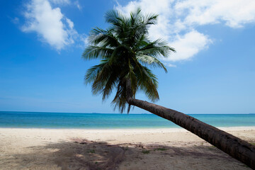 Landscape of paradise tropical island beach, sunrise shot