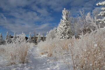 Calgary neighbourhood