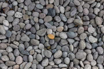 Sea stones background. Colorful small pebbles or stone in garden. Flat lay of sea stones texture background. Abstract shape pattern from nature.