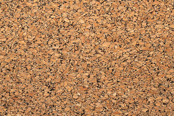 closeup texture of cork wood