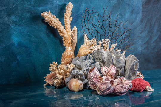 Corals and sea shells on a sea colours background.