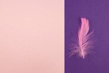 Abstract geometric paper background of pastel pink and purple colors with violet feather. Copy space for design
