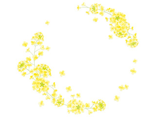 菜の花のフレーム
