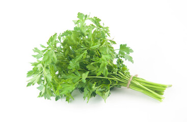 Fresh bunch green parsley bunch on white background. Top view, flat lay. Floral design element. Healthy eating and dieting concept