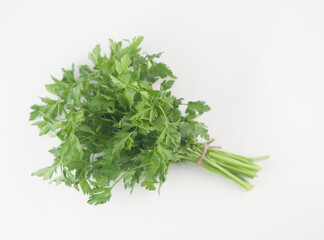Fresh bunch green parsley bunch on white background. Top view, flat lay. Floral design element. Healthy eating and dieting concept