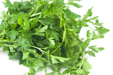 Fresh bunch green parsley bunch on white background. Top view, flat lay. Floral design element. Healthy eating and dieting concept